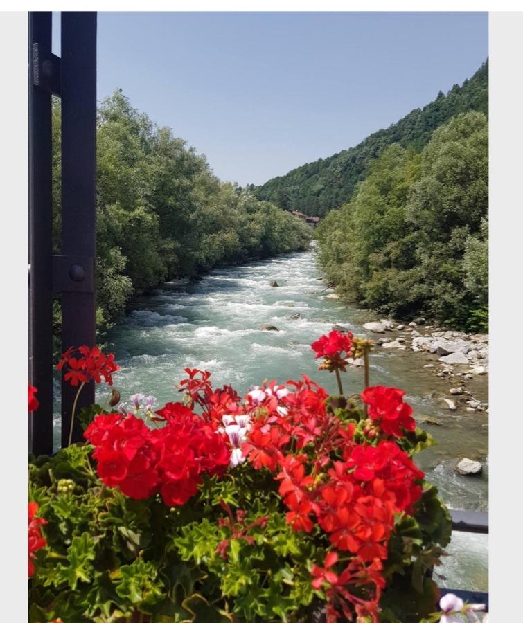 Marilleva 1400 Tra Sport E Natura Bagian luar foto